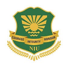 Noida International University logo